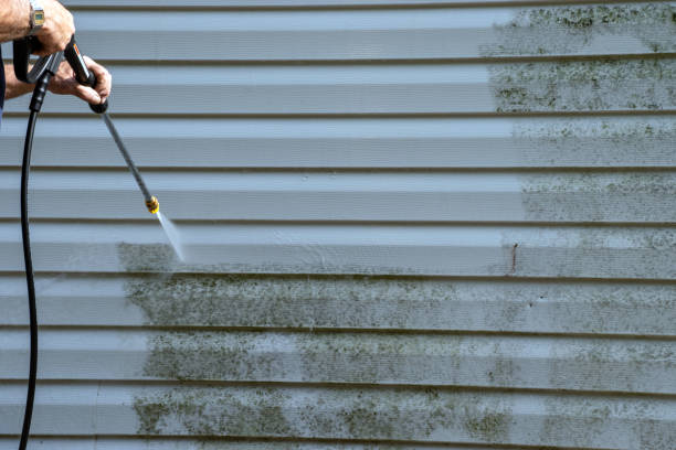 Best Storm Damage Siding Repair  in Langley, WA