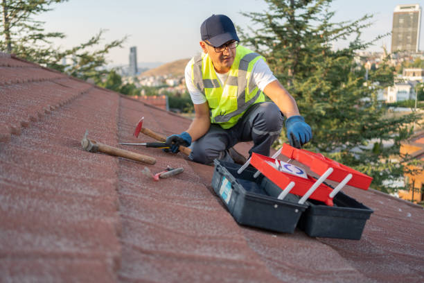 Best Insulated Siding Installation  in Langley, WA